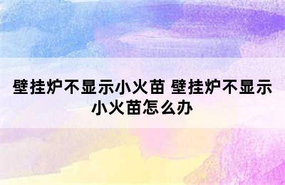 壁挂炉不显示小火苗 壁挂炉不显示小火苗怎么办